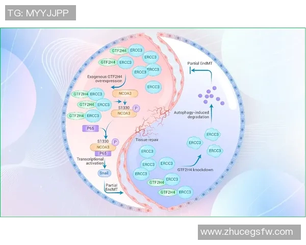 西安网球队在欧锦赛中的战术意识与团队配合全面解析