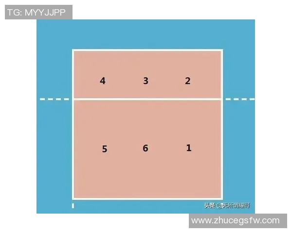 排球盛宴：深入解析成都排球队的战术布局与团队协作技巧