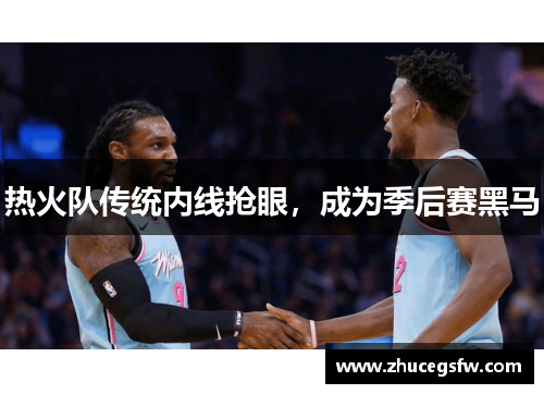 热火队传统内线抢眼，成为季后赛黑马