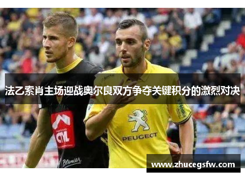 法乙索肖主场迎战奥尔良双方争夺关键积分的激烈对决